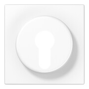Jung Cache aws pour interrupteur à clé LS 928 WW-1
