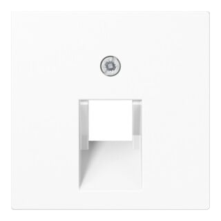 Jung Cache aws pour prise IAE/UAE A 569-1 BFPLUA WW