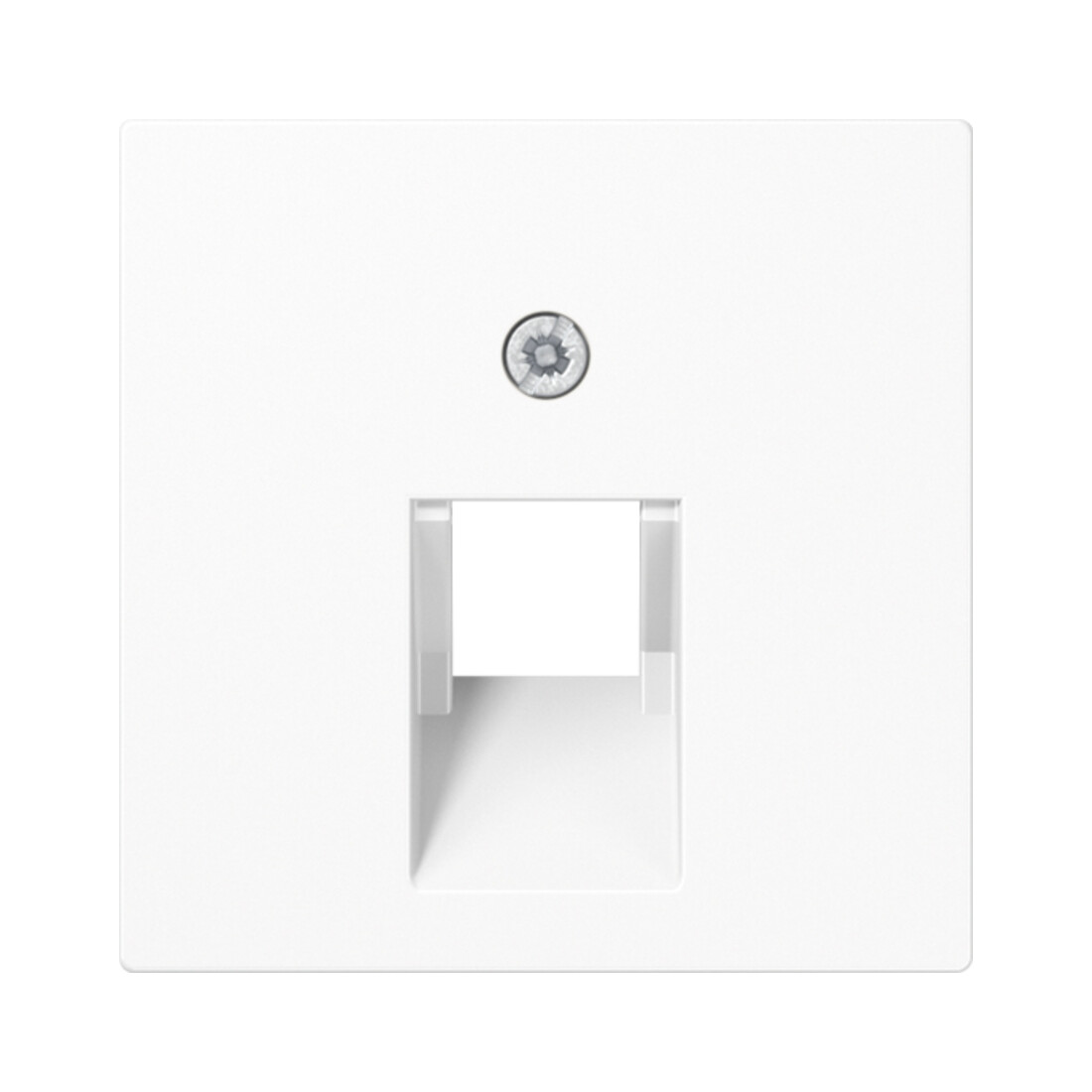 Jung Cache aws pour prise IAE/UAE A 569-1 BFPLUA WW