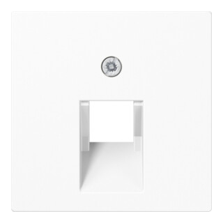 Jung Cache aws pour prise IAE/UAE A 569-1 PLUA WW