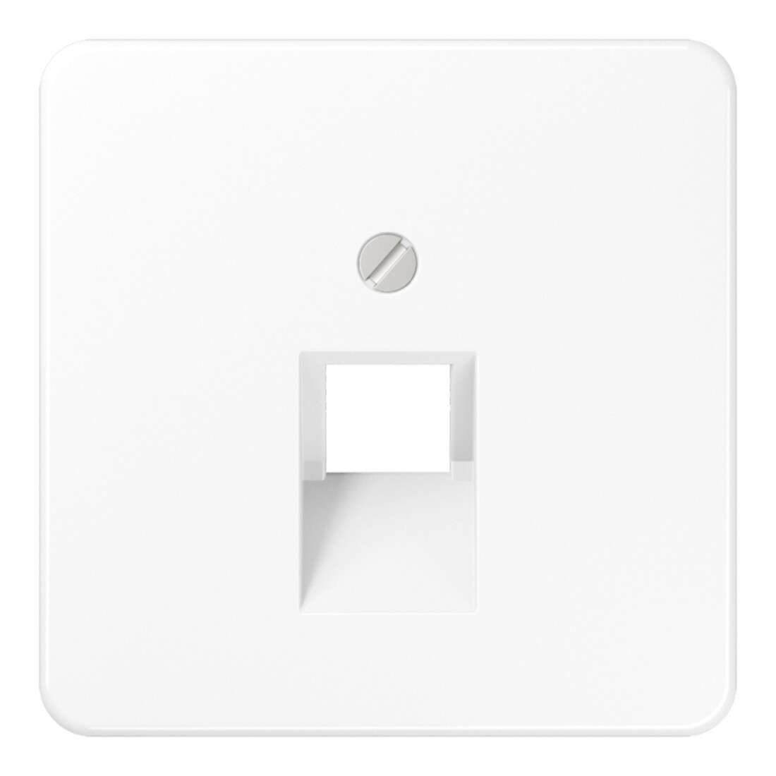 Jung Cache aws pour prise IAE/UAE CD 569-1 UA WW