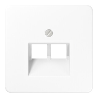 Jung Cache aws pour prise IAE/UAE CD 569-2 UA WW