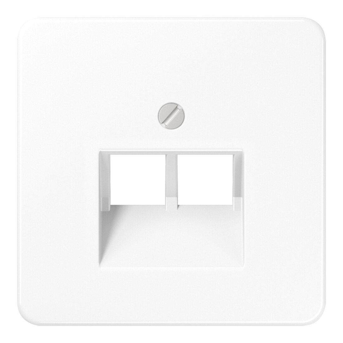 Jung Cache aws pour prise IAE/UAE CD 569-2 UA WW