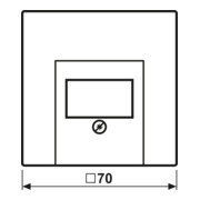 Jung Cache aws pour prise TAE-Dose LS 969 T WW-3
