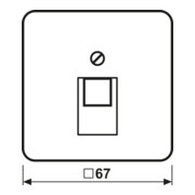 Jung Cache blanc pour prise IAE/UAE 569-1 UA-4