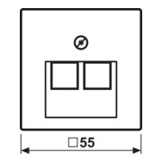 Jung Cache blanc pour prise IAE/UAE A 569-2 BFPLUA-3