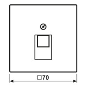 Jung Cache blanc pour prise IAE/UAE LS 969-1 UA-3