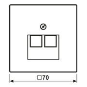 Jung Cache blanc pour prise IAE/UAE LS 969-2 UA-4