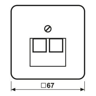 Jung Cache CD 569-2 UA LG for IAE/UAE socket