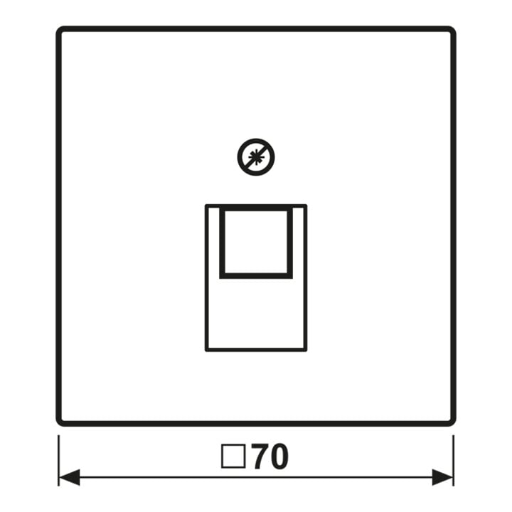 Jung Cache eds pour prise IAE/UAE ES 2969-1 UA