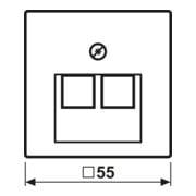 Jung Cache en alu pour prise IAE/UAE A 569-2 BFPLUA AL-4