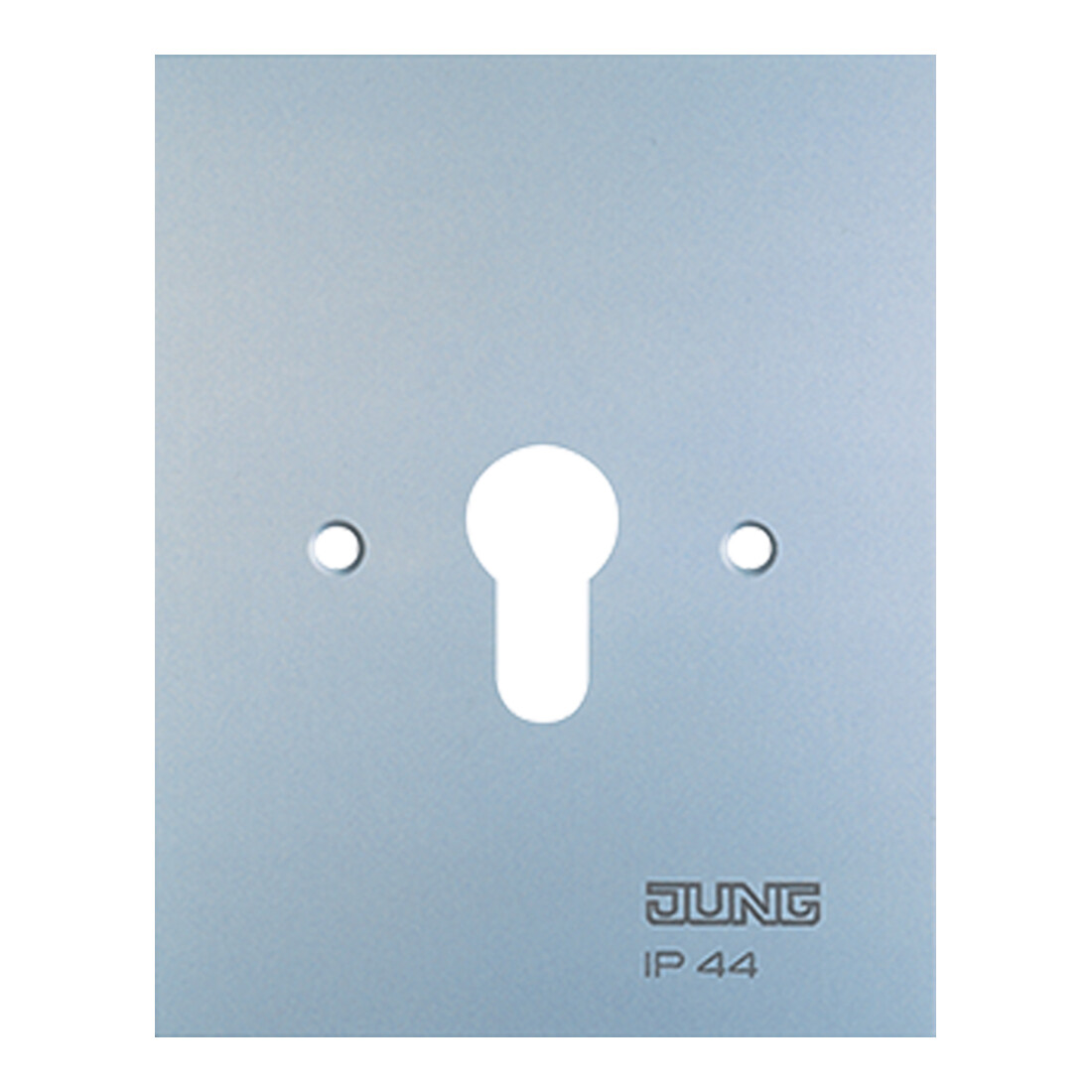 Jung Cache métallique 125×100 mm sans symboles 6.28 WUG
