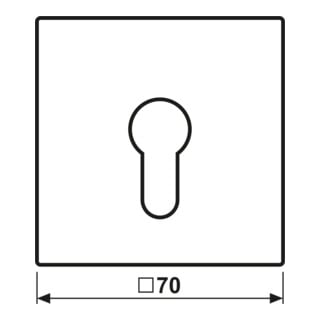Jung Cache pour interrupteur à clé aws LS 925 WW