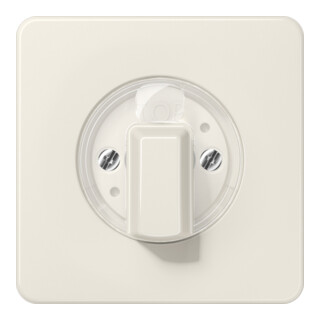 Jung Cache pour interrupteur rotatif CD 1541