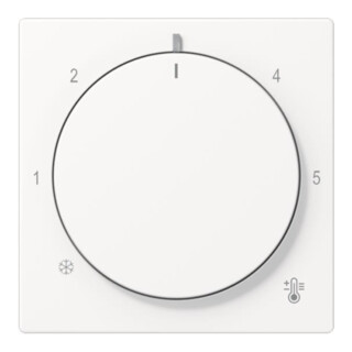 Jung Cache thermostat A1749BFWWM blanc mat plastique