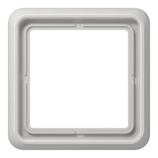 Jung Cadre 1-fach lgr niveau/vertical CD 581 LG