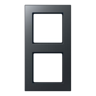 Jung Cadre 2-fach anthracite mat AC 582 BF ANM