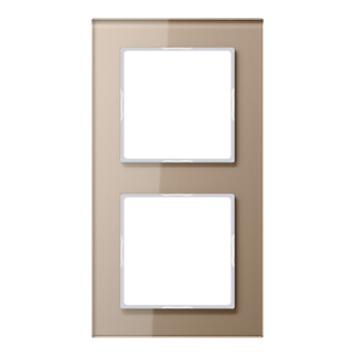 Jung Cadre en verre 2x champ niveau horizontal/vertical AC 582 GL CH