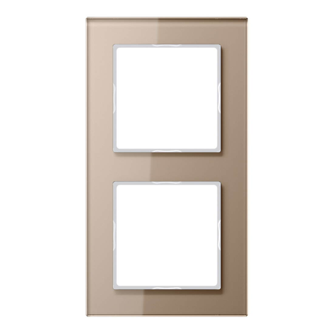 Jung Cadre en verre 2x champ niveau horizontal/vertical AC 582 GL CH