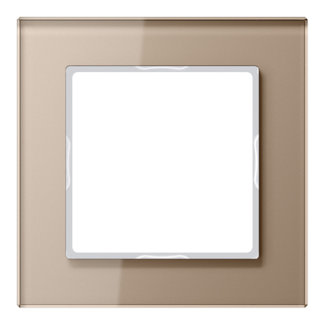 Jung Cadre en verre simple champ niveau/vertical AC 581 GL CH