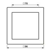 Jung Cadre simple anthracite horizontal/vertical ALD 2981 AN-3