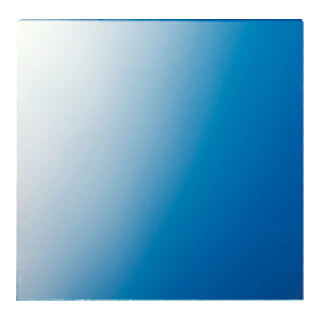 Jung Disque 62,5×61×1 mm 61 GL