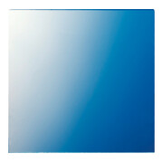 Jung Disque 62,5×61×1 mm 61 GL-1