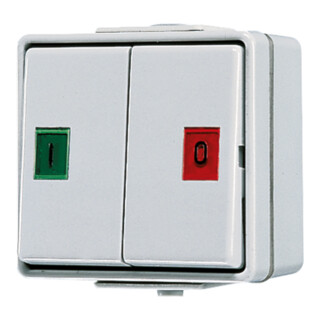 Jung Double-interrupteur 10AX 250V 2 inverseurs 639 W