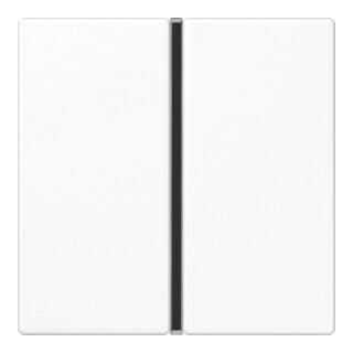Jung Ensemble de touches 1 module aws complet A 401 TSA WW