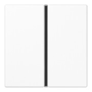 Jung Ensemble de touches 1 module aws complet A 401 TSA WW-1