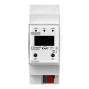 Jung Interface IP IPS 300 S REG-1