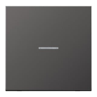 Jung Interrupteur à bascule AL2990KO5D Aluminium mat foncé IP44 avec guide de lumière