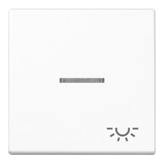 Jung Interrupteur à bascule Symbole LUMIÈRE aws pour commutateur de contrôle A 590 KO5L WW