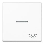 Jung Interrupteur à bascule Symbole LUMIÈRE aws pour commutateur de contrôle A 590 KO5L WW-1