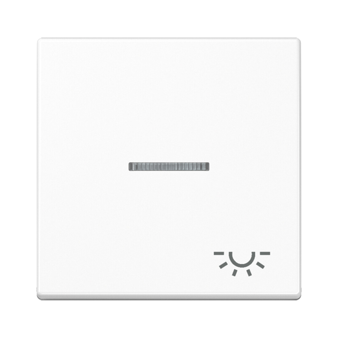 Jung Interrupteur à bascule Symbole LUMIÈRE aws pour commutateur de contrôle A 590 KO5L WW