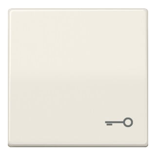 Jung Interrupteur à bascule symbole PORTE blanc pour bouton-poussoir AS 591 T