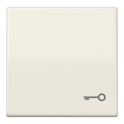 Jung Interrupteur à bascule symbole PORTE blanc pour bouton-poussoir AS 591 T-1