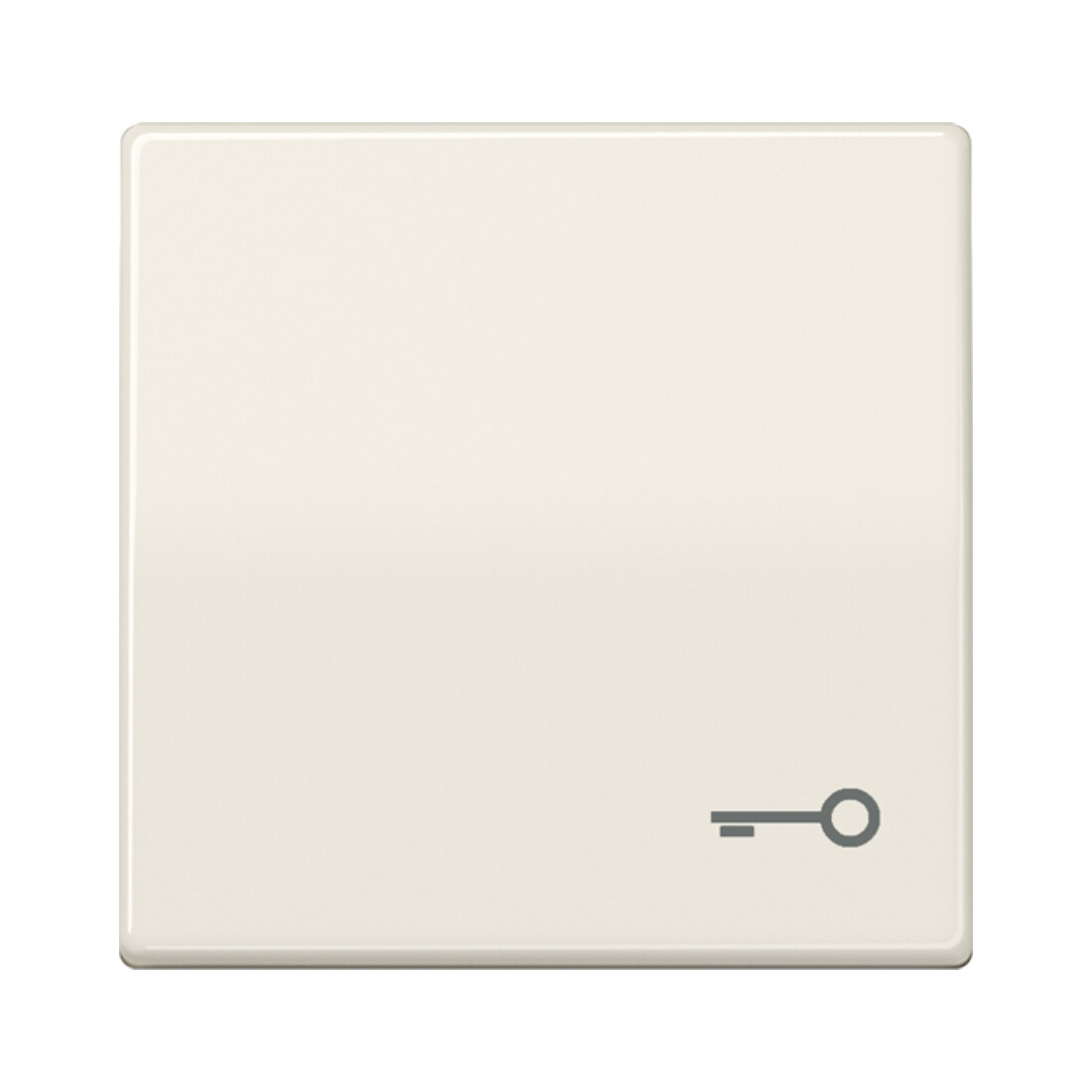Jung Interrupteur à bascule symbole PORTE blanc pour bouton-poussoir AS 591 T