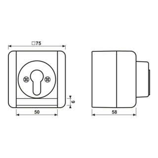 Jung Interrupteur à clé 10AX 250V 1 pôle 833.18 W