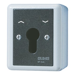 Jung Interrupteur à clé 10AX 250V 2 pôles 804.28 G