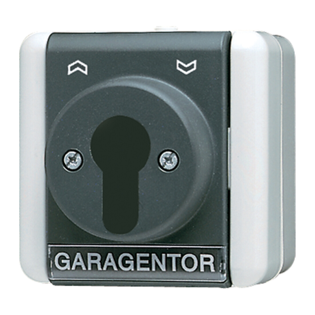 Jung Interrupteur à clé 16AX 250V 1 pôle 806.18 W