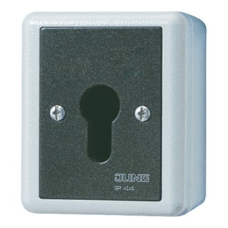 Jung Interrupteur à clé 16AX 250V 2 pôles 806.28 G