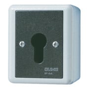 Jung Interrupteur à clé 16AX 250V 2 pôles 806.28 G-1