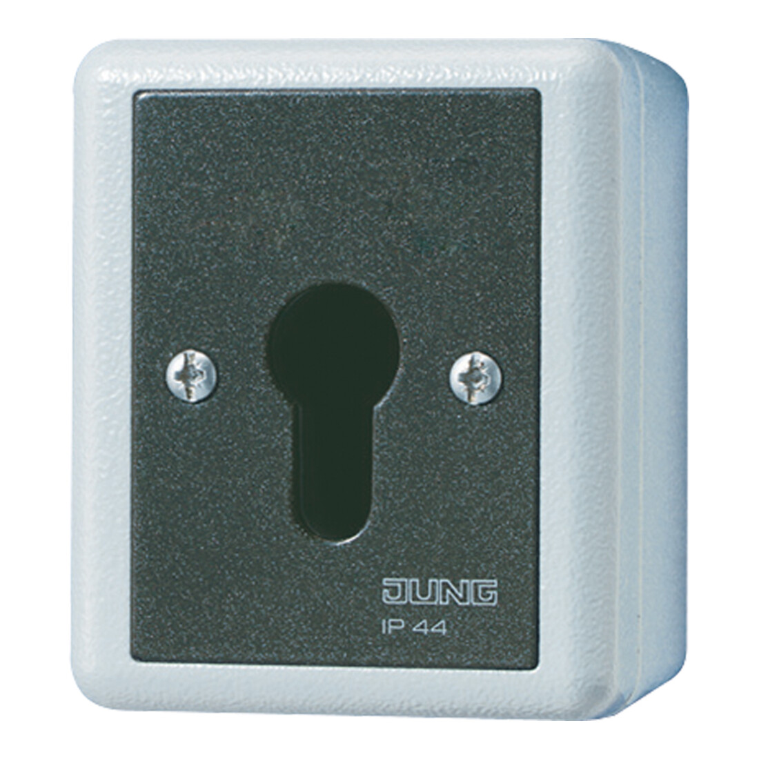 Jung Interrupteur à clé 16AX 250V 2 pôles 806.28 G