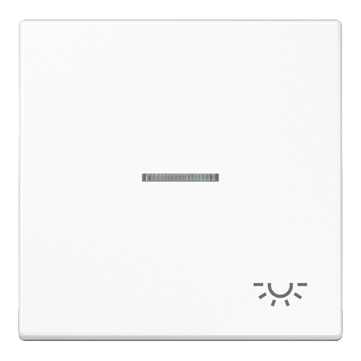 Jung Interrupteur bascule sym.ÉCLAIRAGE/éclairage pour bouton-poussoir éclairé LS 990 KO5L WW