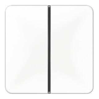 Jung Jeu de touches 1 touche aws complet CD 401 TSA WW