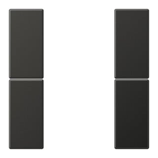 Jung Jeu de touches 2 modules complet AL 2502 TSA AN