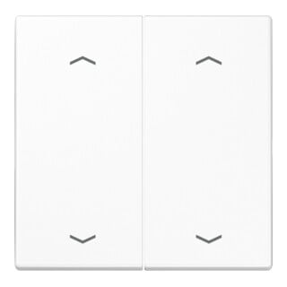 Jung Plaque à bascule Symboles aws pour bouton-poussoir 2 modules LS 995 MP WW