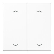 Jung Plaque à bascule Symboles aws pour bouton-poussoir 2 modules LS 995 MP WW-1