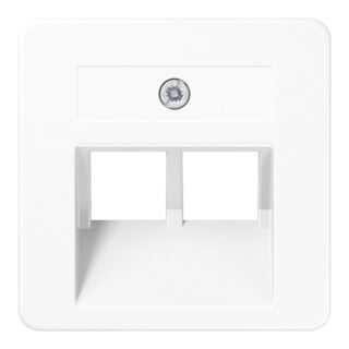 Jung Plaque centrale pour prise IAE/UAE 169-2 UAE WW